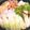 あゆまんま♪'s cooksnap of when they made 塩ちゃんこ鍋（一人鍋).