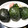 Match's cooksnap of when they made かもゆう風めはり寿し.