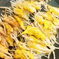 もリのくま's cooksnap of when they made 超節約☆簡単☆もやしのピカタ.