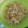 moruchama's cooksnap of when they made ピーラーで簡単♪ごぼうのささがき♪.