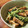 低カロ探検隊's cooksnap of when they made 厚揚げと豆苗のオイスター炒め.
