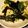 クックM1GIZX☆'s cooksnap of when they made めんつゆで簡単！！鶏わさ.