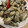 ポメちょん's cooksnap of when they made 簡単牡蠣のアヒージョ.