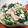 えりぺこ's cooksnap of when they made ほうれん草とツナの豆腐和え.