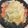 はるまんじゅう's cooksnap of when they made 巻かないロールキャベツ.