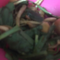 ma___111's cooksnap of when they made にらとなめこの和え物.