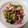 ポニーリボン's cooksnap of when they made 簡単節約時短☆豆苗としめじのさっと炒め☆.