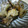★愛美★'s cooksnap of when they made サクサクッ☆れんこんと鶏手羽の煮物.