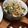 みらりん☆'s cooksnap of when they made 簡単 時短　リピ確定　もやしピーマン和え.
