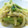めそ。's cooksnap of when they made セロリと新たまねぎの炒めもの.