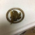 マカロン35's cooksnap of when they made 絶品！茎わかめの佃煮♪.
