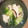 ふくふくあおい's cooksnap of when they made ヘルシー！簡単！豆腐と青梗菜の炒め物。.