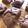 クック6P1KNU☆'s cooksnap of when they made 抹茶とホワイトチョコのスコーン.