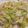 クック0UQ98I☆'s cooksnap of when they made 【給食の味】白菜とじゃこのサラダ.