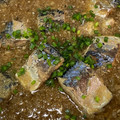 yukariix's cooksnap of when they made サバ缶のおろし煮.