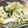 elisalice's cooksnap of when they made すぐできる！簡単！白菜のやみつきサラダ.