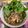 クックMLGVKK☆'s cooksnap of when they made 切り干し大根と豆腐のサラダ.