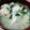 momocookin's cooksnap of when they made 白菜の漬物で絶品スープ！.