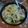 Tomわんこ's cooksnap of when they made 簡単☆シチューの素で作るグラタン.