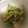 ma___111's cooksnap of when they made 水菜と卵だけの簡単サラダ.