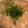 クックPMPR0Y☆'s cooksnap of when they made つくね芋でとろろ飯.
