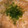 クックPMPR0Y☆'s cooksnap of when they made つくね芋でとろろ飯.