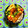 komutatata's cooksnap of when they made 【簡単】ネギチーズの玉子焼き.