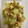 まん！'s cooksnap of when they made 10分で完成♪ウインナーと野菜の炒めもの.