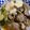 キ＊ラ's cooksnap of when they made うどんつゆが余ったら、簡単肉どうふ！.