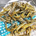 クックXR2ZGU☆'s cooksnap of when they made きびなごの唐揚げ.