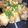 andyhouse's cooksnap of when they made 鶏の唐揚げ　黒酢あんかけ丼♪.