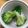 のりこったん's cooksnap of when they made 簡単！ブロッコリーのゆで方.