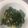 クックRLFCH4☆'s cooksnap of when they made ターツァイ挽肉炒め.