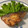 大魔女's cooksnap of when they made 鰤の和風オイル漬け.