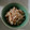 クックHX2GFD☆'s cooksnap of when they made レンジで簡単♪えのきのタラコバター和え.