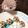 Coffeebeen's cooksnap of when they made 鈴カステラ de カワウソに変身！.