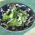 アンドーナツ☆'s cooksnap of when they made 小松菜のからし和え.