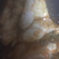 ma___111's cooksnap of when they made キムチとささみの簡単サラダ☆.