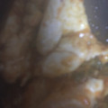 ma___111's cooksnap of when they made キムチとささみの簡単サラダ☆.