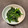 ぱふぃん．'s cooksnap of when they made ほうれん草のナムル.