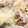 …皐月姫…'s cooksnap of when they made 豚肉と白菜とシメジの柚子胡椒炒め煮.