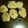 mame554's cooksnap of when they made リュスティック（柿酵母）.