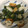 クックRCHX24☆'s cooksnap of when they made 簡単！オクラと水菜とちくわの胡麻和え.