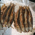 みみ0224's cooksnap of when they made パパの焼きめざし（節分）.
