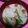 サッチー☆★'s cooksnap of when they made カブとウインナーのミルクスープ(^^♪.