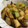 ぺぽこ3's cooksnap of when they made 長芋と豚肉と長ねぎのからし醤油炒め.