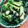 mariko0609's cooksnap of when they made 【簡単】小松菜と塩昆布のお浸し.