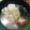 クックM5IJW5☆'s cooksnap of when they made タラ鍋.