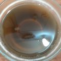 tyanncyonn's cooksnap of when they made 寒天で紅茶ゼリー☆.