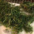 1035's cooksnap of when they made こどもに人気☆にんじん葉のかきあげ.